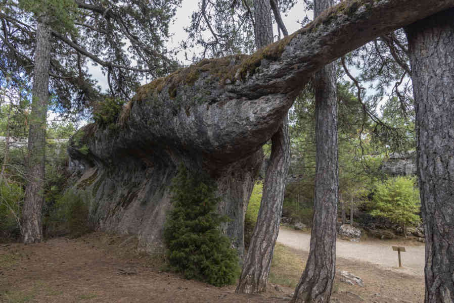 Cuenca - Valdecabras - Ciudad Encantada 40 - la lucha entre el Elefante y el Cocodrilo.jpg